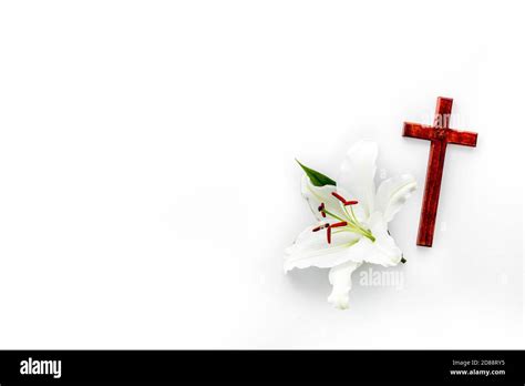 Lily Funeral Flower With Cross Condolence Card With Copy Space Stock
