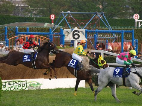 中山グランドジャンプ (なかやまグランドジャンプ)は、日本中央競馬会 (jra)が中山競馬場で施行する中央競馬の重賞競走 (j・gi)である。競馬番組表での名称は「農林水産省賞典 中山グランドジャンプ. 中山グランド・ジャンプ - キマグレ競馬