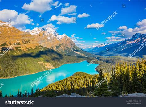 Turquoise Lake Peyto Banff National Park Stock Photo Edit Now