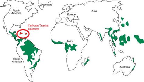 Tropical rainforests grow in the hot, wet, humid places near the equator. Climate in the Tropical Rainforests of the Caribbean - Megan's Blog