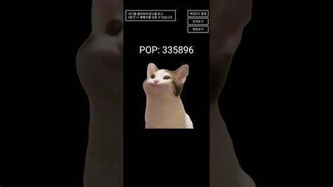 Pop Cat 팝수 올리기 Youtube