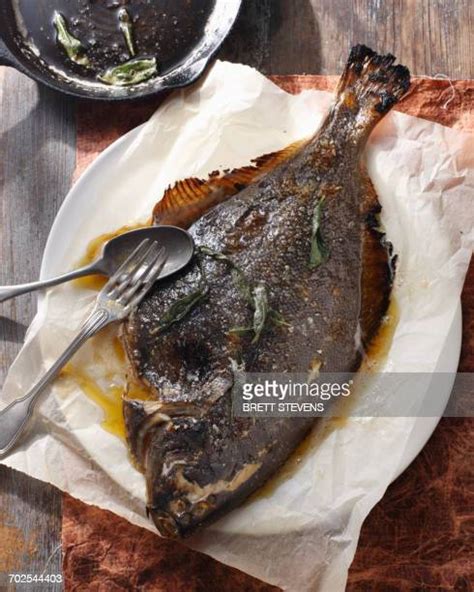 Whole Flounder Photos And Premium High Res Pictures Getty Images