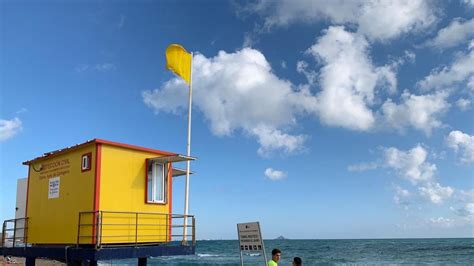 La Bandera Amarilla Ondea En 12 Playas De Águilas Cartagena Y Mazarrón