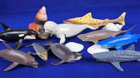 Learn Sea Animals Learn Sea Animal Names Learn Sharks Toy Videos For