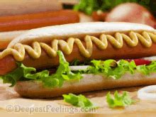 Today, we celebrate dogs and all they do for us. National Hot Dog Day GIFs | Tenor