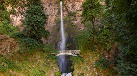 How To Book Your Tickets To Visit Multnomah Falls Travel Oregon