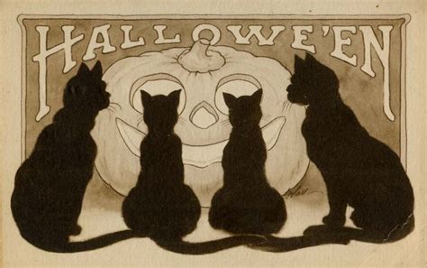 Black Cat Halloween Vintage Halloween Cards Halloween Cat
