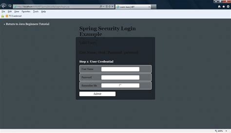 Spring Security Custom Login Page Example