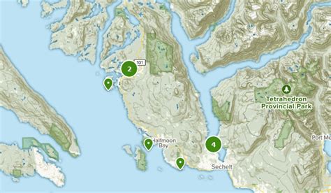 Best Bird Watching Trails Near Sunshine Coast B British Columbia