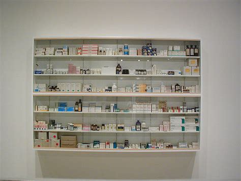 Hirst has related the cabinets to people, comparing the drugs inside them to internal organs, and commenting on the way many drugs relate to a particular part of the body. useless uselessness: Damien Hirst - Medicine Cabinets