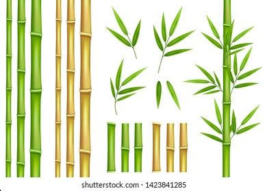 Bamboe Bomen Ai Royalty Free Stock Svg Vector And Clip Art