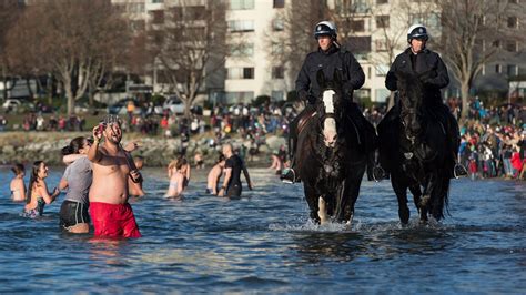 Canadians Brave Icy Waters In Annual Polar Bear Dip Ctv News