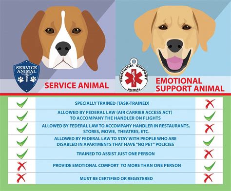 Service Animal Vs Emotional Support
