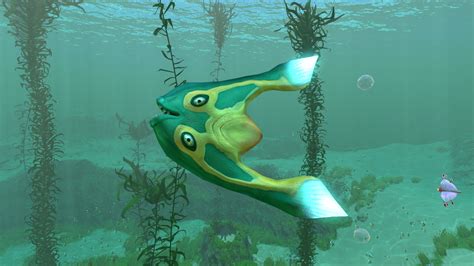 Boomerang Subnautica Wiki Fandom Herbivores Biomes Shoal Of Fish