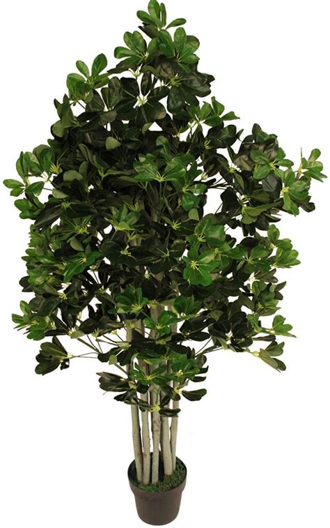 Looking for umbrella plant care tips? Artificial Schefflera Umbrella Plant 1.6m Tall - Garden ...