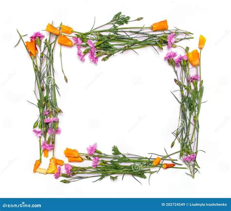 Frame Of Delicate Spring Flowers Isolated On White Background View