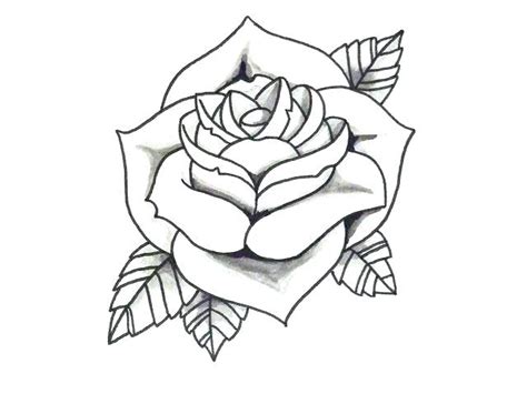 In the final step we are going to add the shadow portions to the local color we established in the previous drawing a red rose, the result: Open Rose Drawing Step By Step | Free download on ClipArtMag