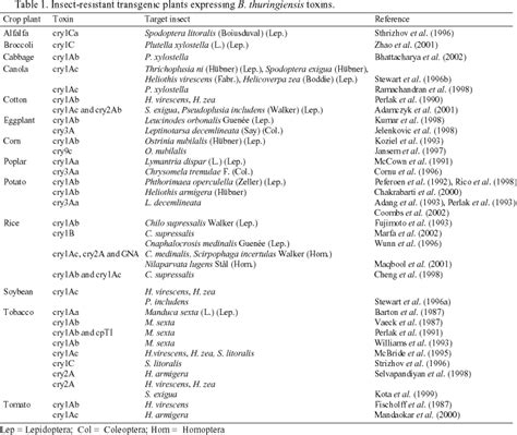 The ingested bt toxin affects specific insects by binding to their cilial brush border receptors thereby opening membrane pores of the gut epithelium. The Environmental Effects of Genetically Modified Crops ...