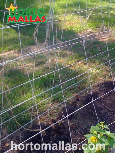 Hortomallas On Garden Set Up 4 Hortomallas™ Supporting Your Crops®