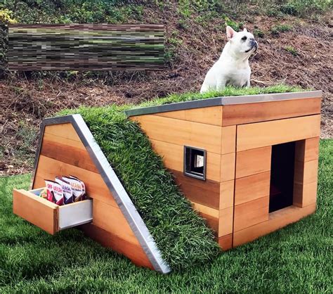 Extreme Pet Homes