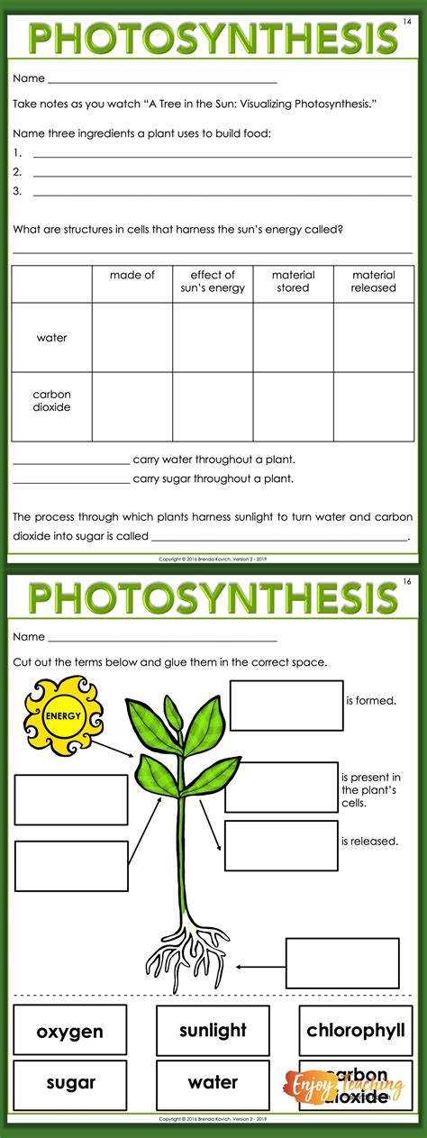 Enjoy Teaching Plants With Biology Activities For Kids Teaching