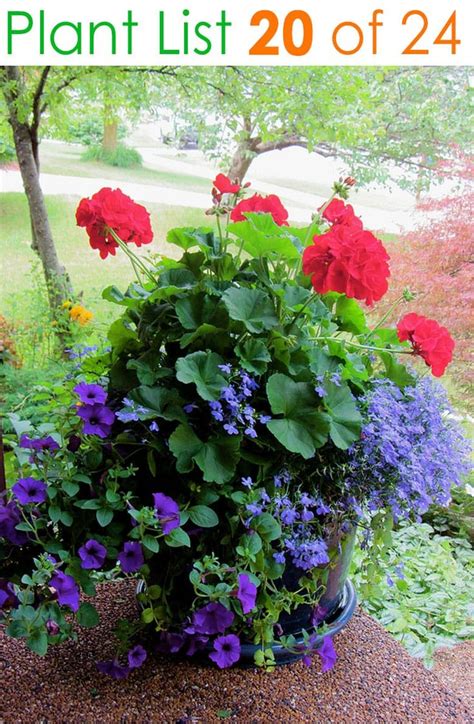 One of the easiest ways to add some interest to your home's front yard is to plant a colorful border of flowering plants to enliven your entryway. 24 Stunning Container Garden Planting Ideas | Porch ...