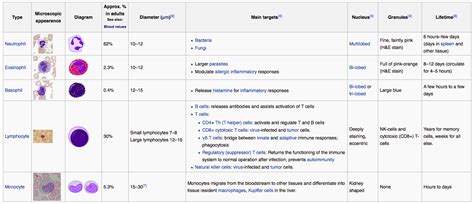 Leukocyte Chart A Visual Reference Of Charts Chart Master