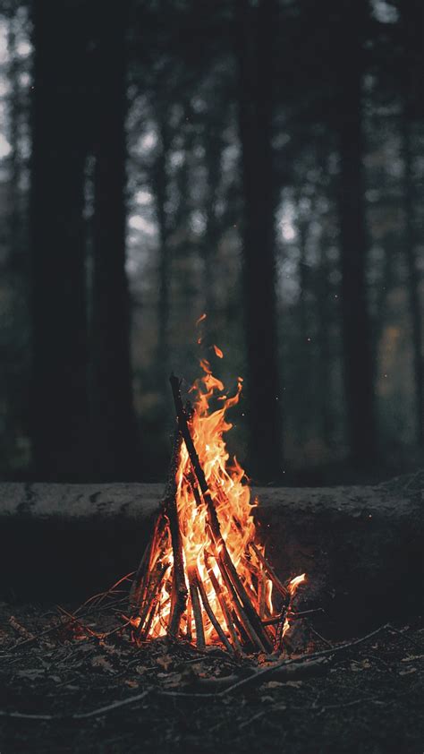 Every day new pictures and just beautiful wallpaper for your desktop nature completely free. nature, Landscape, Portrait display, Wood, Fire, Branch ...