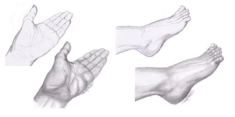 Hand And Foot Study By Sct Graphics On Deviantart