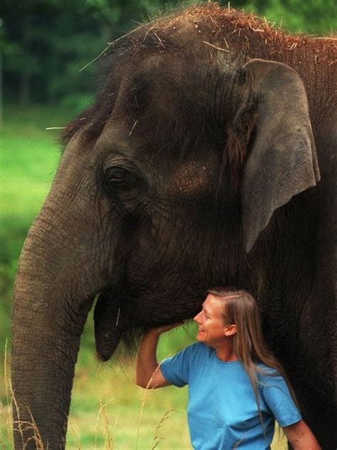 Elephant Custody Battle Looms Over New Georgia Sanctuary
