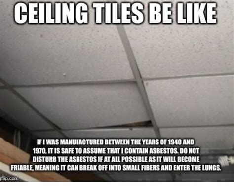 Also known as drop ceilings, suspended ceilings, and acoustic ceilings and came in sizes of 2×2 and 2×4. Asbestos ceiling tiles : AsbestosRemovalMemes