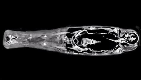 scanning the mummy of a 2 700 year old egyptian girl the skeleton startled scientists