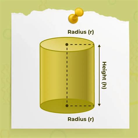 Cylinder Definition Formulas Types Properties And