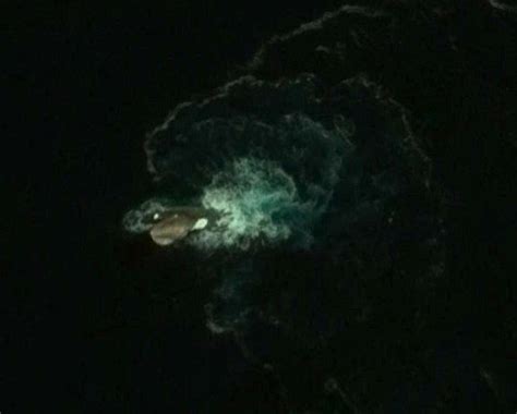 Spend just $40 to unlock free domestic shipping ($15 savings)! 'Legendary sea monster' spotted on Google Earth - AOL UK ...