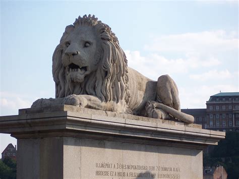 Chain Bridge Budapest Hungary Lion Statue