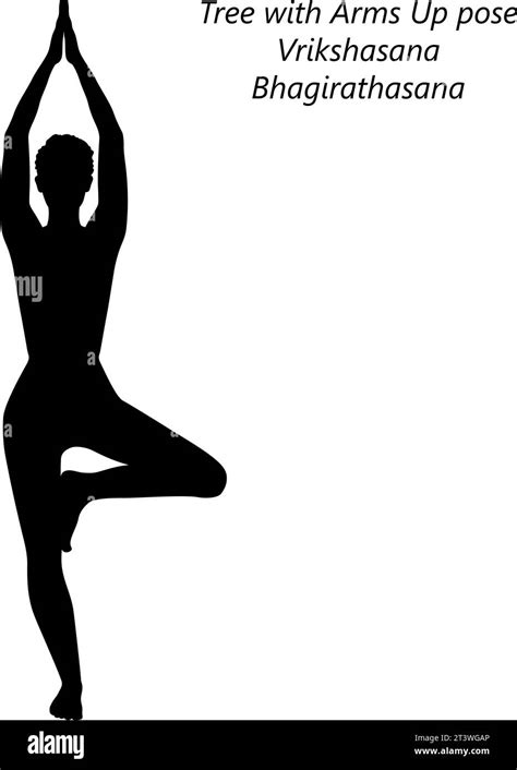 Silhouette Of Woman Doing Yoga Vrikshasana Tree With Arms Up Pose Isolated Vector Illustration