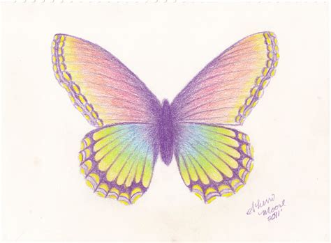 18+ Butterfly Drawings, Art Ideas | Design Trends