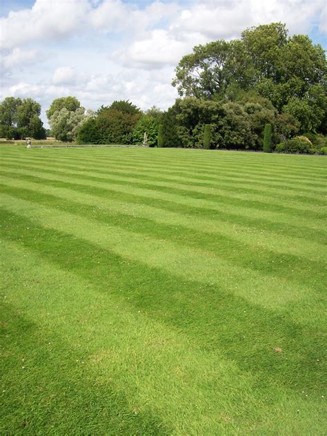 5 Professional Lawn Mowing Patterns To Try Gene And Matt Tractor Sales Inc