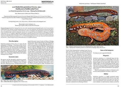 Threatened Newts And Salamanders Of The World Captive Care Management