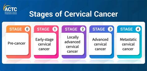 Stages And Treatment Options For Cervical Cancer Actc