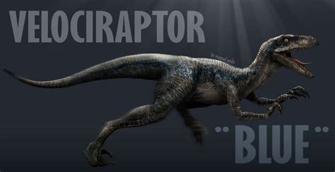 Jurassic World Meet The Raptor Squad Raptor Blue In The Late