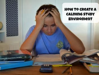 How To Create A Calming Study Environment
