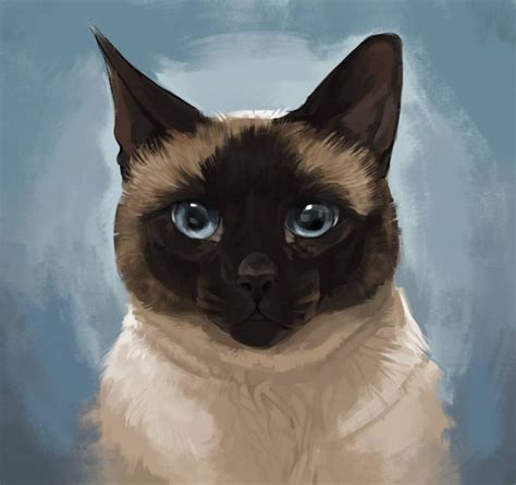 Valley cats cat & kitten rescue. This Artist Creates Personalized Pet Portraits And They're ...