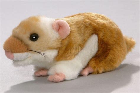 Light Brown Hamster Stuffed Animals Pinterest