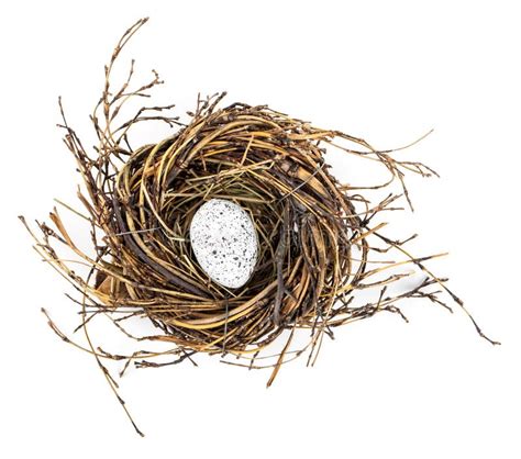 Easter Egg In Birds Nest Stock Image Image Of Feather 65167369