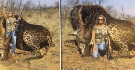 Outrage At American Woman Who Killed Rare Black Giraffe In South Africa