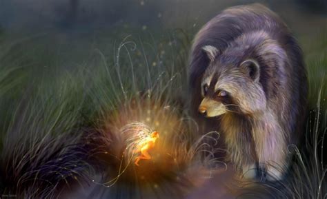 The Fairy And The Raccoon Hd Wallpaper Background Image