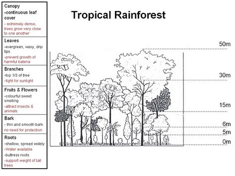 This is in part due to the physical hazards of moist and warm environments dripping with potential. Elective Geography eRefections by Ruth Lim 3R2: Natural ...