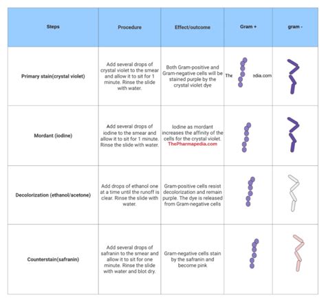 Differential Staining Gram Staining And Acid Fast Staining Technique