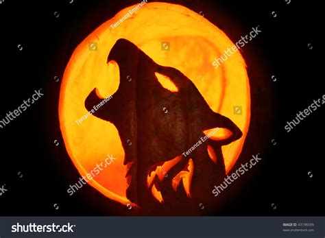 Silhouette Of Halloween Pumpkin Carved Into Howling Wolf Pattern Jack O